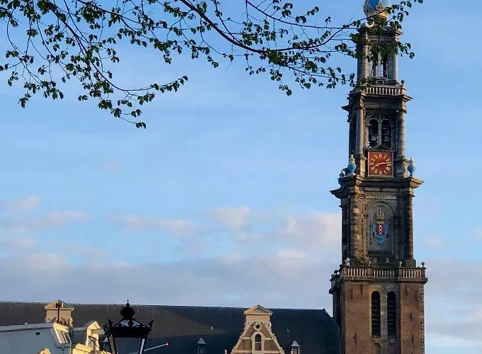 Affittacamere Villa360 4*